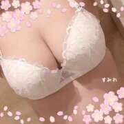 ヒメ日記 2026/04/09 13:27 投稿 すみれ clubさくら難波店