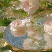 ヒメ日記 2025/08/24 19:13 投稿 そらね コスパラ