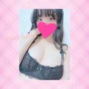 ヒメ日記 2025/03/05 22:26 投稿 ましろ 立川ちゃんこ