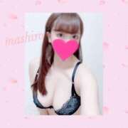 ヒメ日記 2026/03/24 11:16 投稿 ましろ 立川ちゃんこ