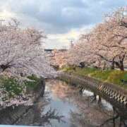 ヒメ日記 2025/04/27 00:39 投稿 れいな 不倫体験 名古屋店