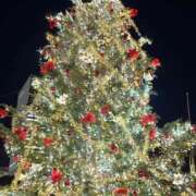 ヒメ日記 2025/12/05 22:02 投稿 れいな 不倫体験 名古屋店