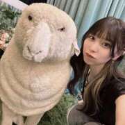 ヒメ日記 2025/07/15 20:47 投稿 みやび マリン池袋北口駅前店