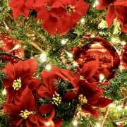 ヒメ日記 2024/12/11 07:43 投稿 りさこ みやこ