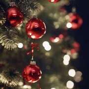 ヒメ日記 2024/12/22 07:35 投稿 りさこ みやこ