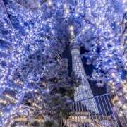 ヒメ日記 2024/12/24 07:18 投稿 りさこ みやこ