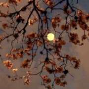 ヒメ日記 2025/01/16 06:23 投稿 りさこ みやこ