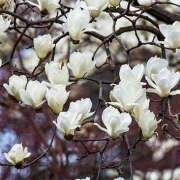 ヒメ日記 2025/02/02 07:37 投稿 りさこ みやこ