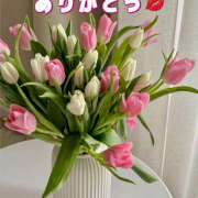 ヒメ日記 2025/02/26 07:23 投稿 りさこ みやこ