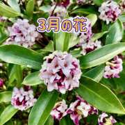 ヒメ日記 2025/03/03 07:10 投稿 りさこ みやこ