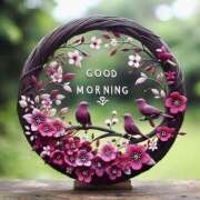 ヒメ日記 2025/03/13 07:13 投稿 りさこ みやこ