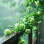 ヒメ日記 2025/03/18 07:18 投稿 りさこ みやこ