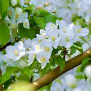 ヒメ日記 2025/03/24 07:59 投稿 りさこ みやこ