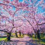 ヒメ日記 2025/04/04 07:38 投稿 りさこ みやこ