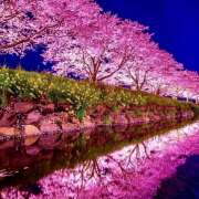 ヒメ日記 2025/04/09 07:30 投稿 りさこ みやこ