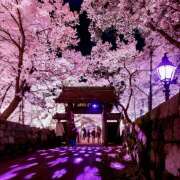 ヒメ日記 2025/04/14 07:10 投稿 りさこ みやこ