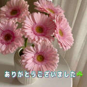 ヒメ日記 2025/04/15 13:57 投稿 りさこ みやこ