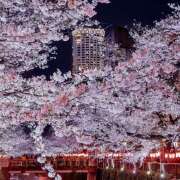 ヒメ日記 2025/04/16 08:08 投稿 りさこ みやこ