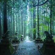 ヒメ日記 2025/04/17 07:35 投稿 りさこ みやこ