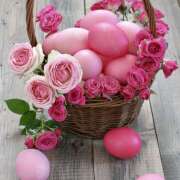 ヒメ日記 2025/04/21 07:06 投稿 りさこ みやこ