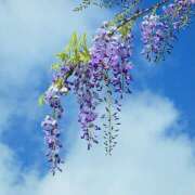 ヒメ日記 2025/04/29 07:27 投稿 りさこ みやこ