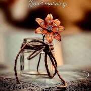 ヒメ日記 2025/04/30 07:11 投稿 りさこ みやこ