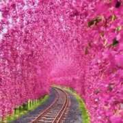 ヒメ日記 2025/05/07 07:43 投稿 りさこ みやこ