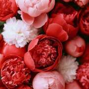 ヒメ日記 2025/05/08 07:19 投稿 りさこ みやこ