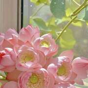 ヒメ日記 2025/05/09 07:16 投稿 りさこ みやこ