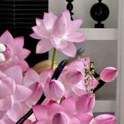 ヒメ日記 2025/05/20 07:25 投稿 りさこ みやこ