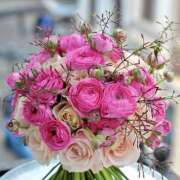 ヒメ日記 2025/05/23 07:11 投稿 りさこ みやこ