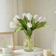 ヒメ日記 2025/05/27 07:32 投稿 りさこ みやこ