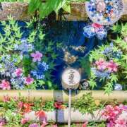 ヒメ日記 2025/05/28 07:22 投稿 りさこ みやこ