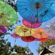 ヒメ日記 2025/06/04 07:14 投稿 りさこ みやこ