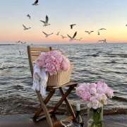 ヒメ日記 2025/06/06 07:03 投稿 りさこ みやこ