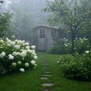 ヒメ日記 2025/06/09 07:21 投稿 りさこ みやこ