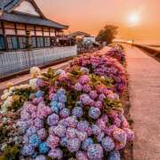 ヒメ日記 2025/06/11 07:03 投稿 りさこ みやこ