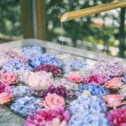 ヒメ日記 2025/06/13 07:33 投稿 りさこ みやこ