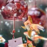 ヒメ日記 2025/06/18 07:12 投稿 りさこ みやこ