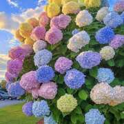 ヒメ日記 2025/06/23 07:09 投稿 りさこ みやこ