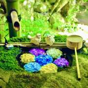 ヒメ日記 2025/07/02 07:17 投稿 りさこ みやこ