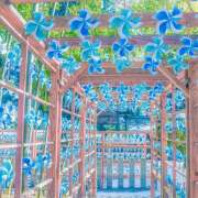 ヒメ日記 2025/07/03 07:12 投稿 りさこ みやこ