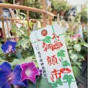 ヒメ日記 2025/07/08 07:19 投稿 りさこ みやこ