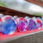 ヒメ日記 2025/07/09 07:10 投稿 りさこ みやこ