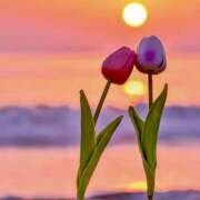 ヒメ日記 2025/07/21 07:09 投稿 りさこ みやこ