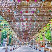 ヒメ日記 2025/08/14 07:23 投稿 りさこ みやこ