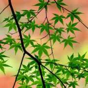 ヒメ日記 2025/08/25 07:03 投稿 りさこ みやこ