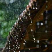 ヒメ日記 2025/09/04 07:09 投稿 りさこ みやこ