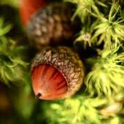 ヒメ日記 2025/09/08 07:06 投稿 りさこ みやこ