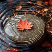 ヒメ日記 2025/09/10 07:05 投稿 りさこ みやこ